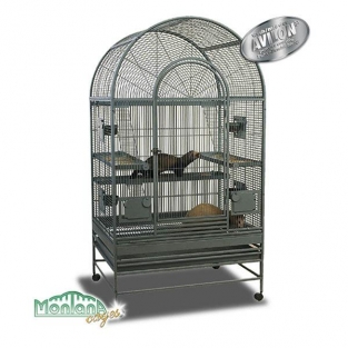 Degu Miami montana knaagdierkooi